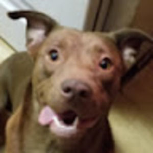 Meet your Posher, Michele